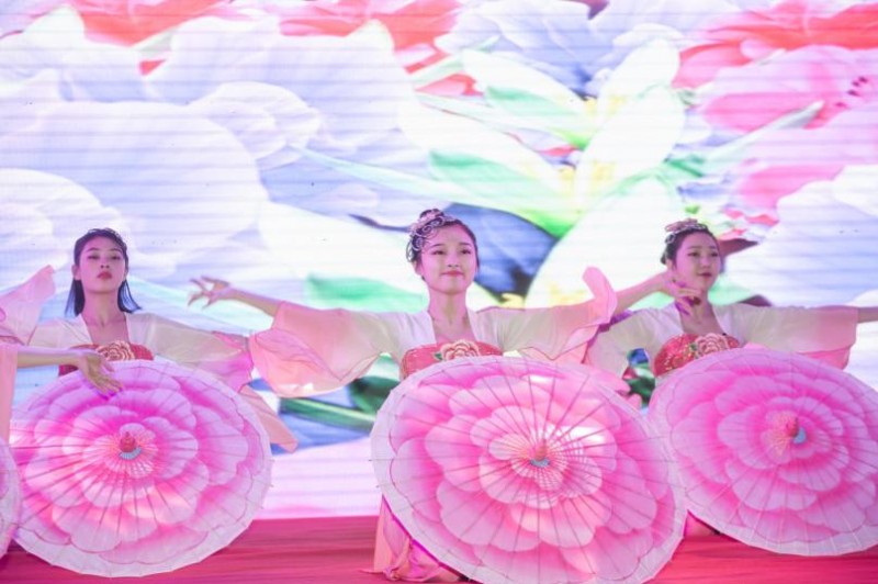 图片16